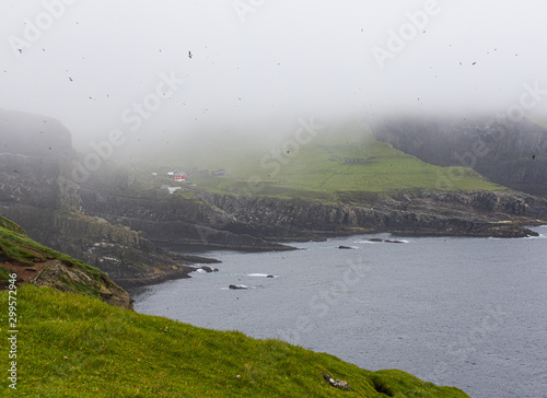 faroe islands photo