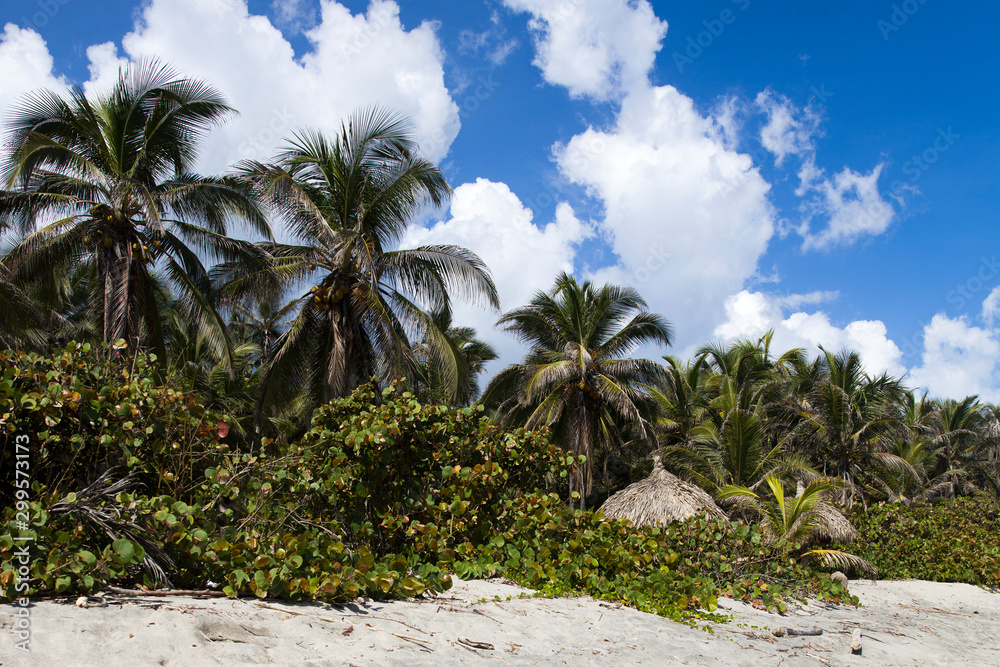 Obraz premium Sunshade on the tropical beach at Tayrona, Colombia