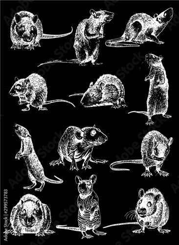 Graphical set of rats isolated on black background,vector illustration,symbol of new year