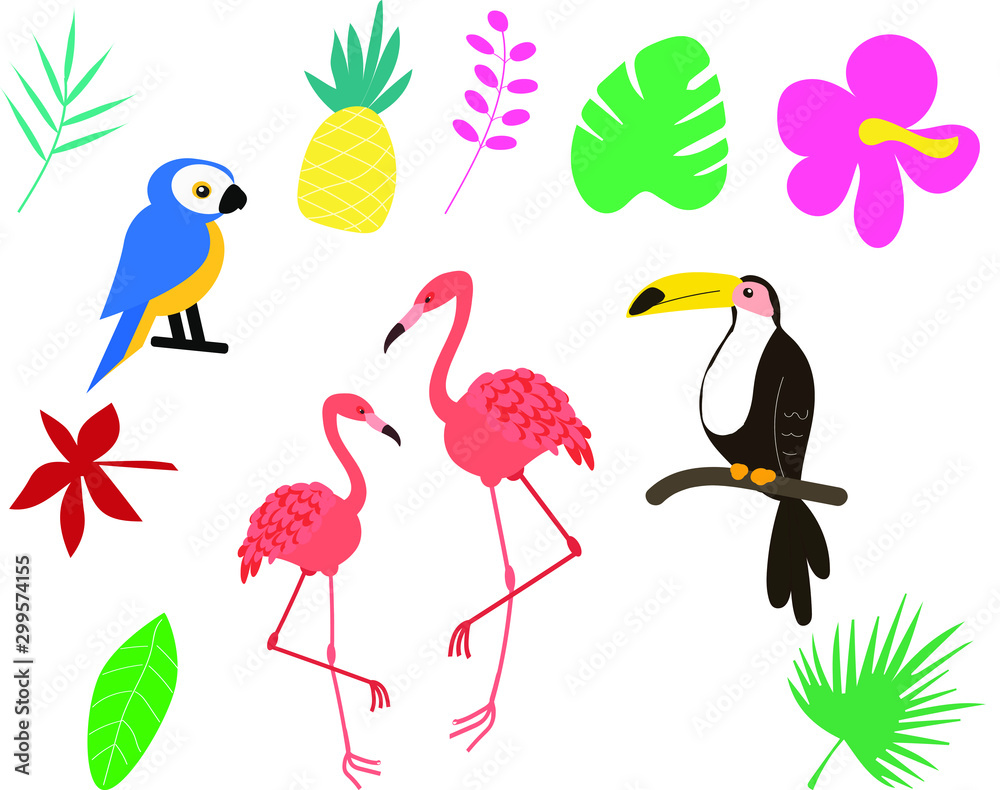  tropical animals and plants illustrations set