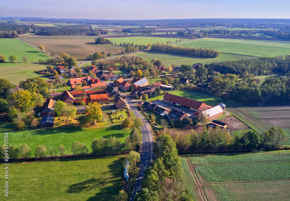 Aerial view of a tiny piddy village in the heath in the north of Germany
