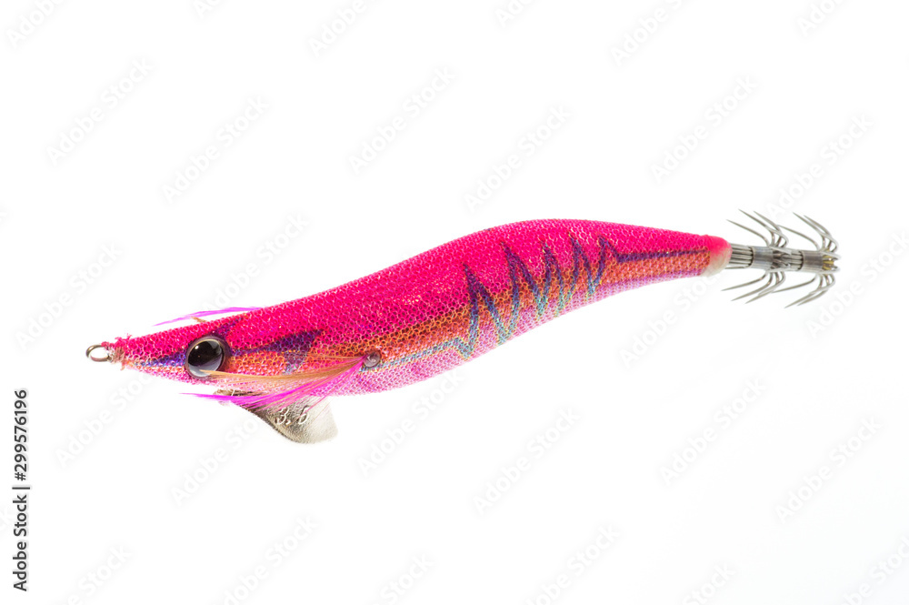 エギングで使うイカ釣り用エギ Stock 写真 Adobe Stock