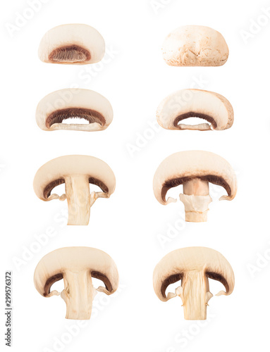 Set of cut cross section of champignon mushrooms isolated on white background