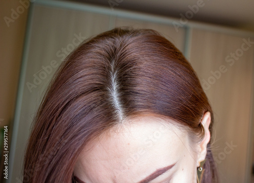 hair on a woman's head close-up. Hair brown color of.
