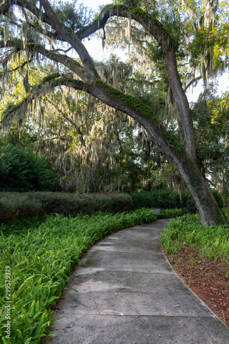 path in the park