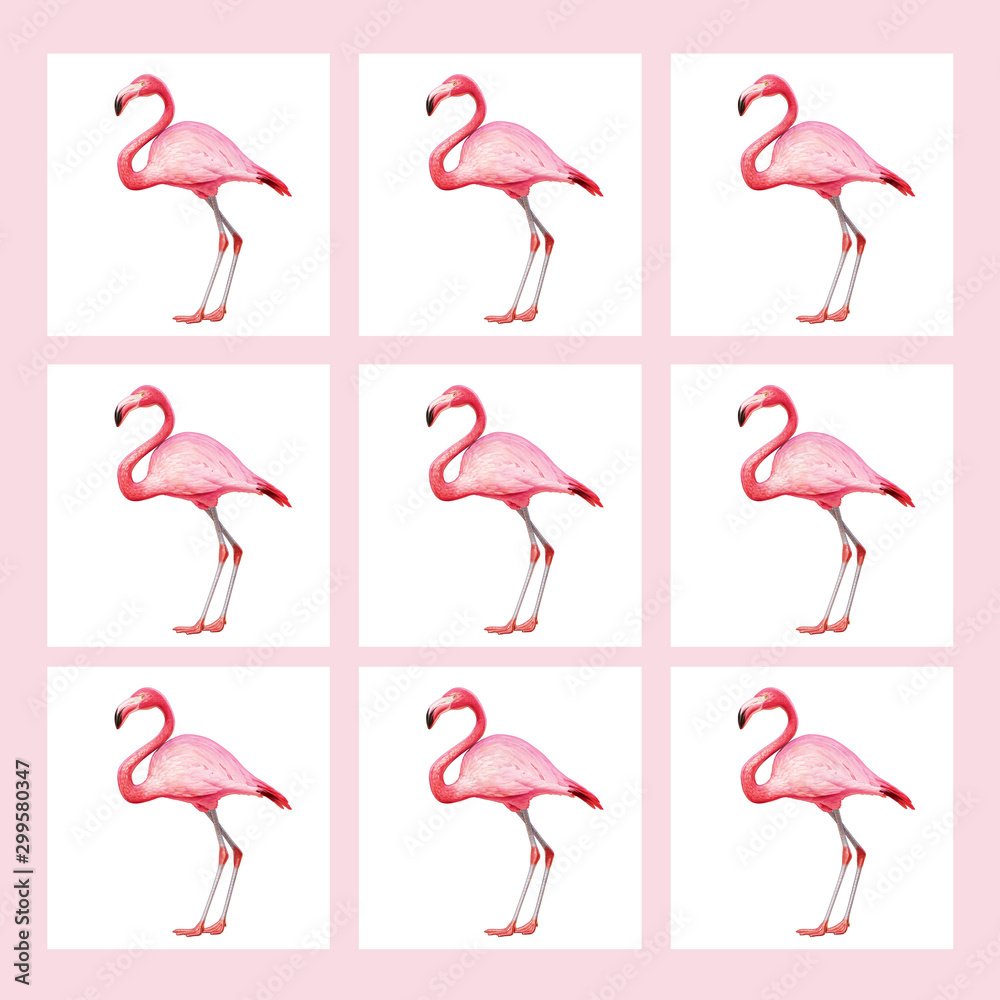 Obraz premium image of a pink flamingo on a pink background