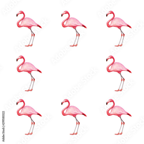 image of pink flamingo on a white background © Юлия Васильева