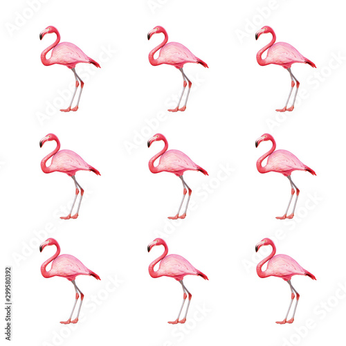 image of pink flamingo on a white background © Юлия Васильева