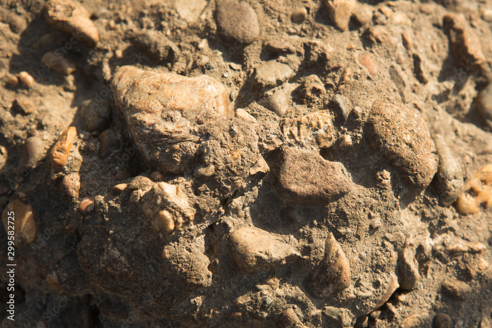 abstract background with dry round reeble stones