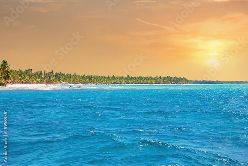 Wave on the sandy beach. The turquoise sea. palm beach. Vacation Concept