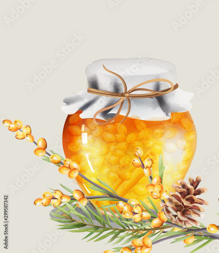 Honey jar with yellow berries and cinnamon inside. Green leaves and conifer cone on foreground. Christmas holiday vector