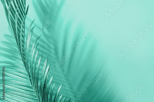 Curving palm leaf and its shadow. Monochrome natural background in mint green colors photo