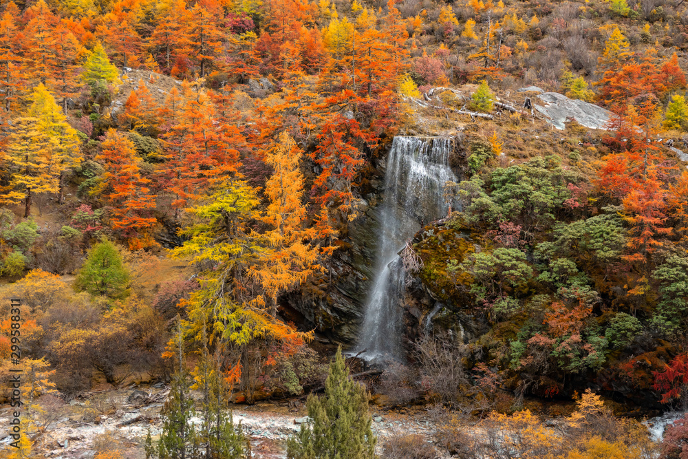 Fototapeta premium waterfall in forest