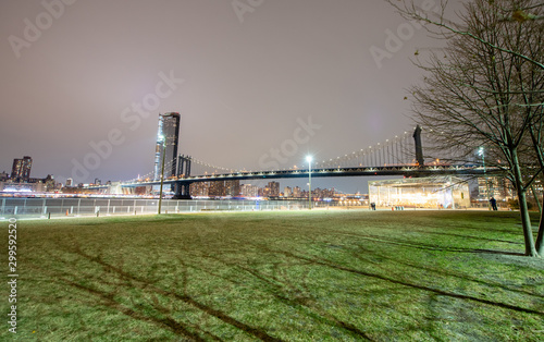 Night view of Manhattan Bridge in New York City from Brooklyn Bridge Park. City skyline and trees on a beautiful winter evening