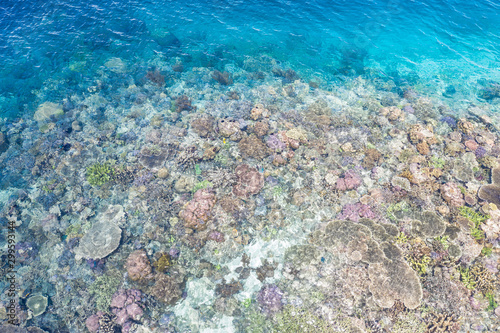 An aerial view of healthy corals being exposed at low tide in Indonesia. This region is known to harbor extraordinary marine biodiversity and is a popular scuba diving and snorkeling destination.