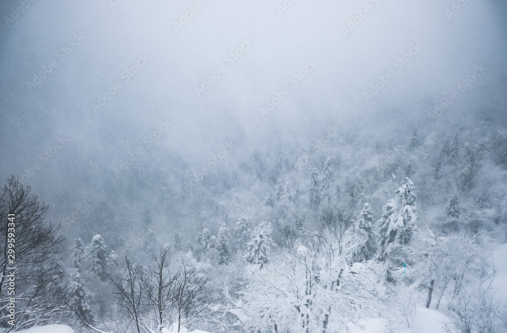 Snow-capped Caucasus mountains in winter in fog. Snowy winter in the mountains. Winter landscape.