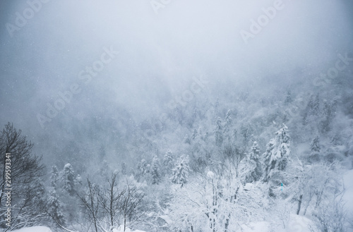 Snow-capped Caucasus mountains in winter in fog. Snowy winter in the mountains. Winter landscape. © Igor Luschay