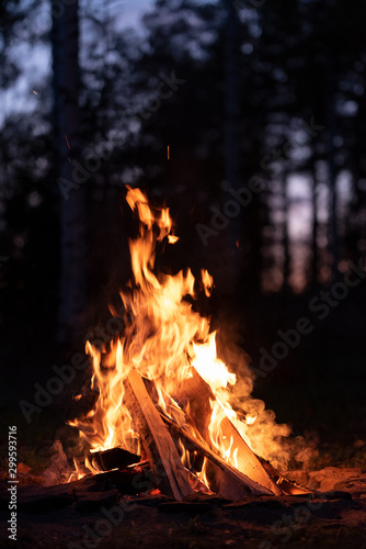 Burning campfire in chilly autumn evening