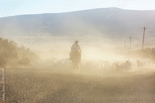 Obraz na plátně Gaucho