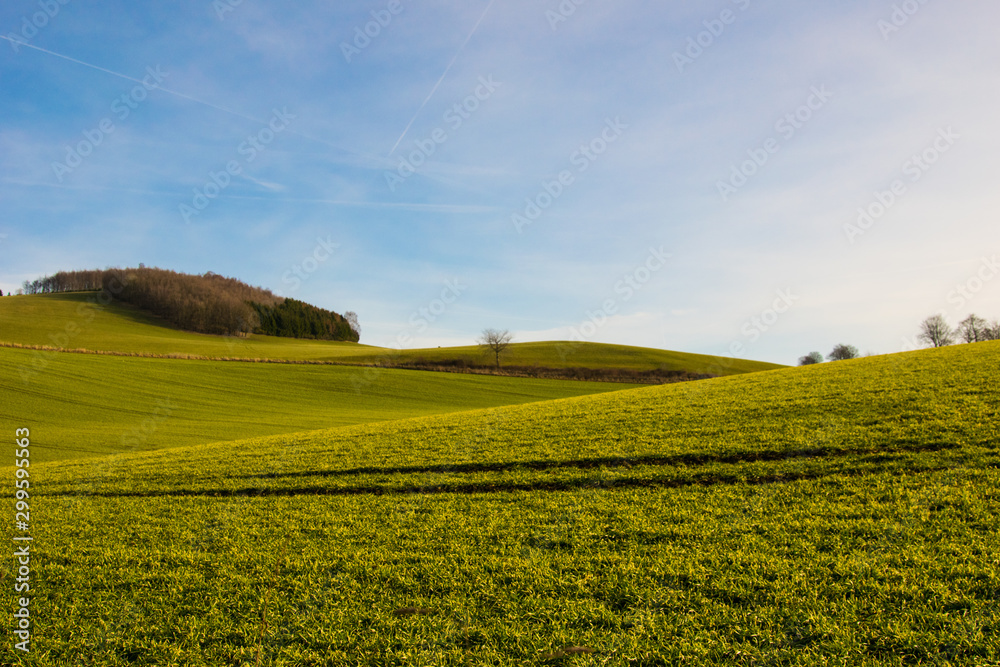 landscape with hills, trees and blue sky