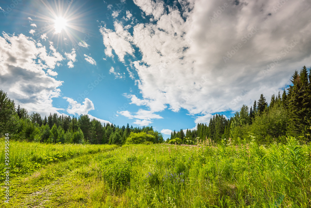 Landscape with green meadow on a hill surrounded by forest, rural road stretching into the distance, sun with rays on a blue sky with clouds. Landscape with green meadow on a hill surrounded by forest, rural road stretching into the distance, sun with rays on a blue sky with clouds.