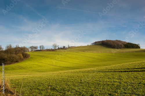 landscape with hills, trees and blue sky