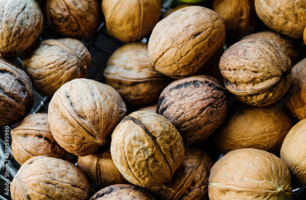 The harvest of walnuts. Ripe walnuts in a shell. The harvest of walnuts. Ripe walnuts in a shell.