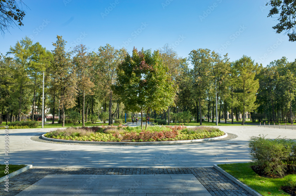 Green alleys in Luzhniki, Moscow