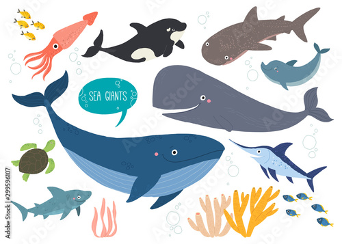 Cute sea animals set. Underwater animal creatures. Squid, orca, whale, shark, dolphin, swordfish and ocean turtle. Undersea world. Cartoon vector illustration isolated on white. Flat style.
