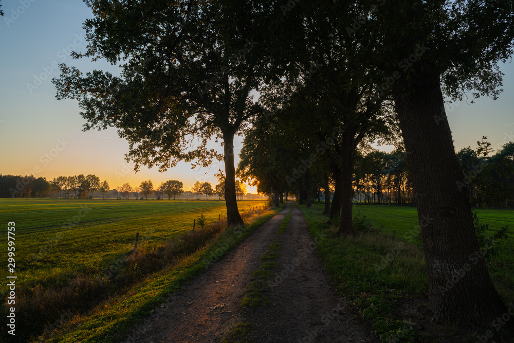 A sunset between the fields on a forest path in autumn A sunset between the fields on a forest path in autumn