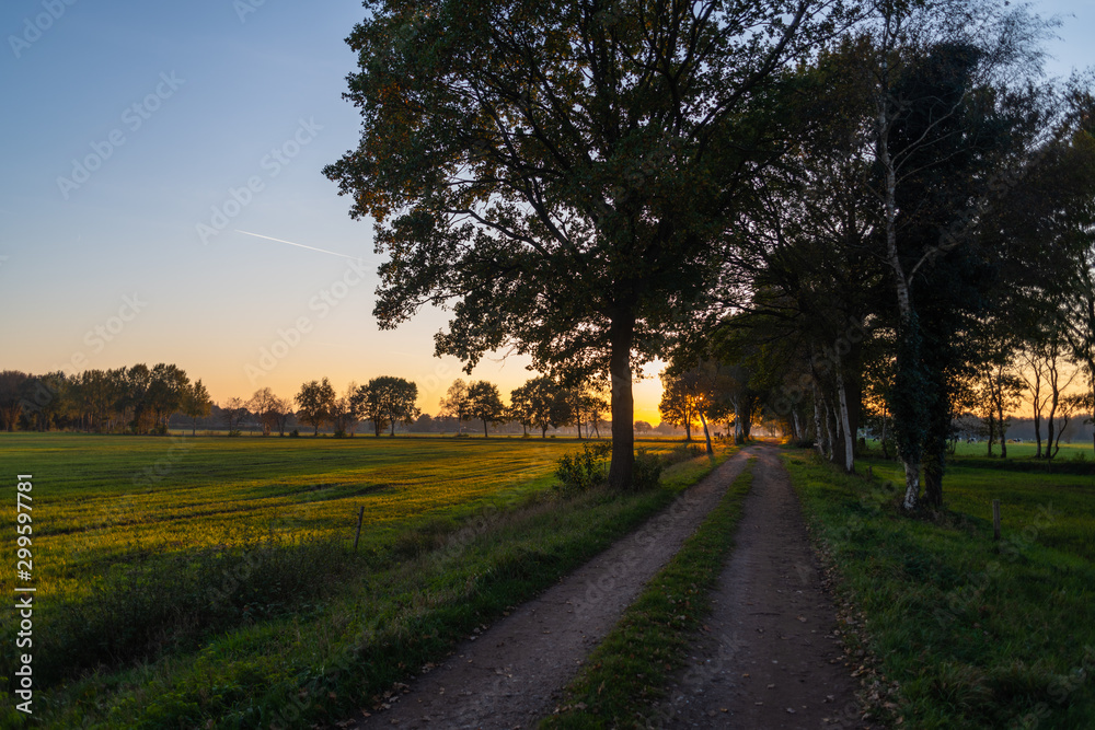 A sunset between the fields on a forest path in autumn A sunset between the fields on a forest path in autumn
