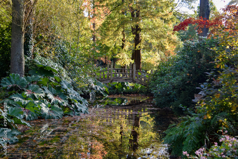 autumn in the park