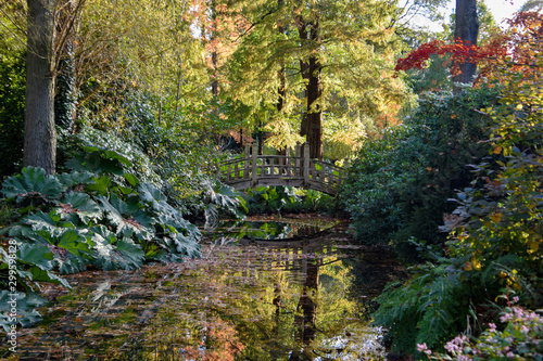 Obraz na płótnie autumn in the park w salonie