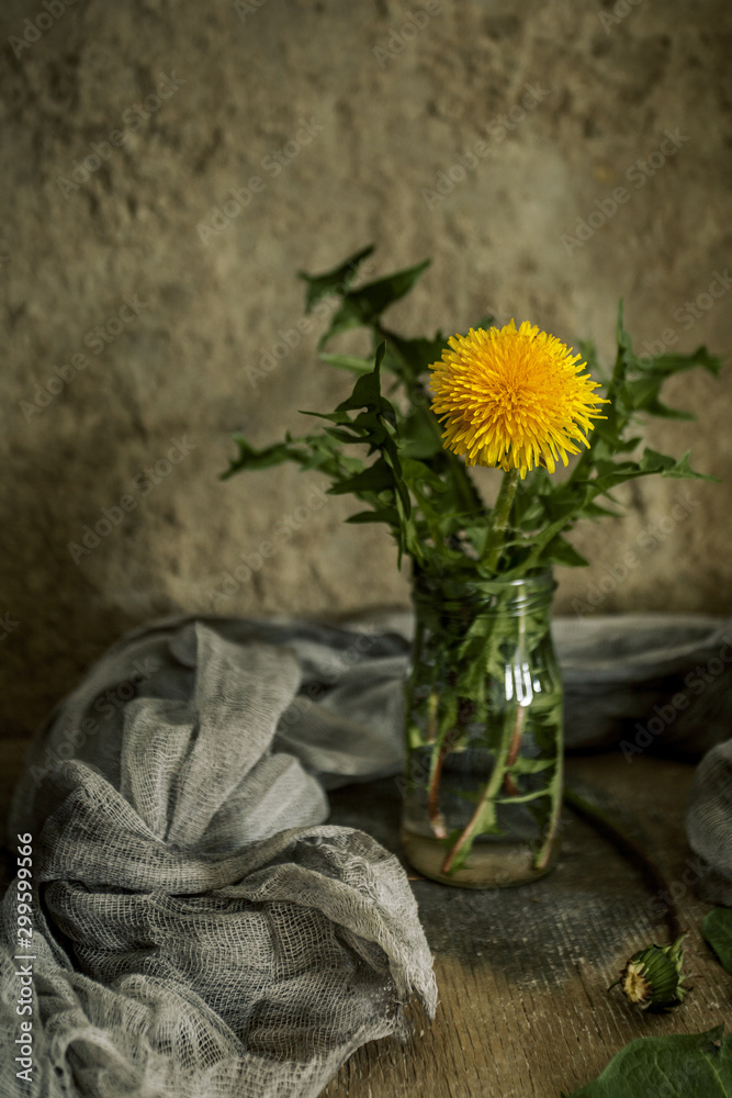 Fototapeta Beautiful fresh summer still life with a bouquet of yellow dandelions in a pot of red clay. Still life in a rustic style against a dark background. The concept of rural life. Selective focus.