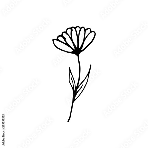 Cute single hand drawn floral elements. Doodle vector illustration for wedding design, logo and greeting card.