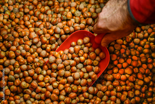 nuts in the market hazelnuts