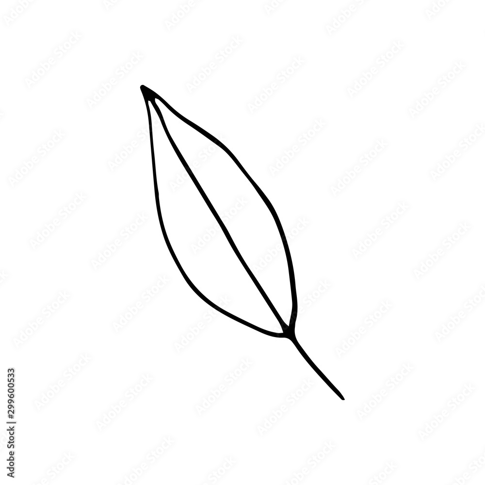 Cute single hand drawn floral elements. Doodle vector illustration for wedding design, logo and greeting card. Cute single hand drawn floral elements. Doodle vector illustration for wedding design, logo and greeting card.
