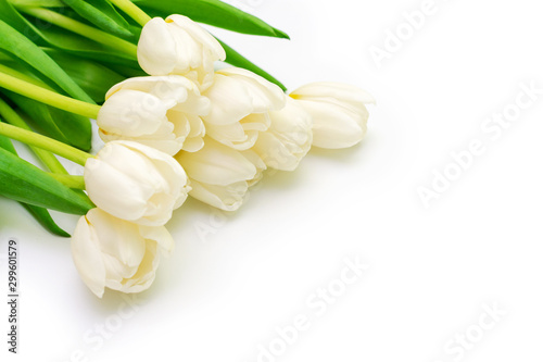 Bouquet of white tulips on a white background. Copyspace. Flowers on a white background.
