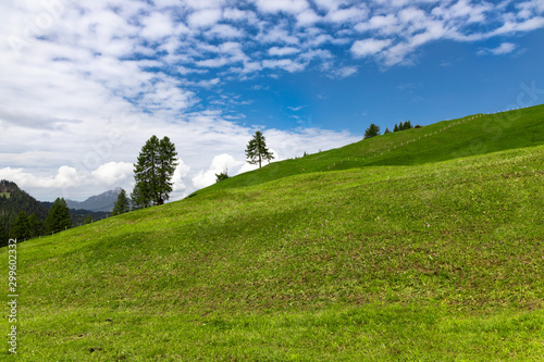 Obraz na plátně Italy / South Tyrol / Alto Adige: steep green alp and a blue sky on the way from