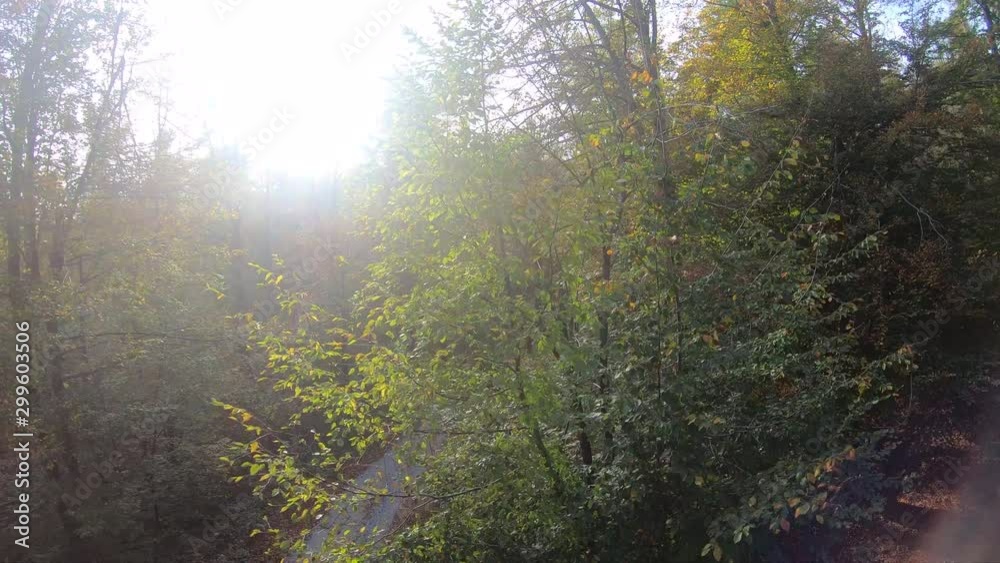 AERIAL Woman mountain biking down a fall forest trail in sunshine AERIAL Woman mountain biking down a fall forest trail in sunshine