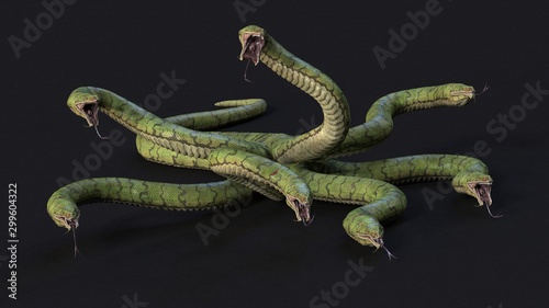 Seven-headed Hydra. 3d illustration