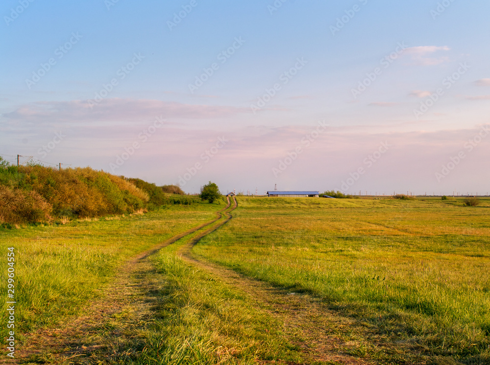 Obraz premium Path in the field at sunset
