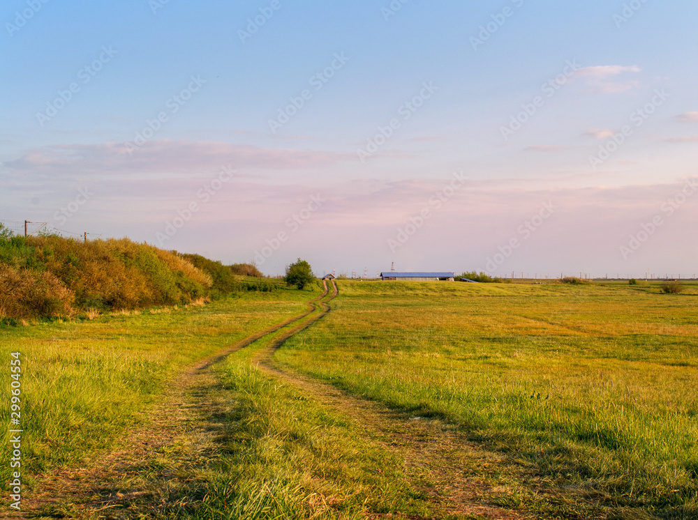 Path in the field at sunset