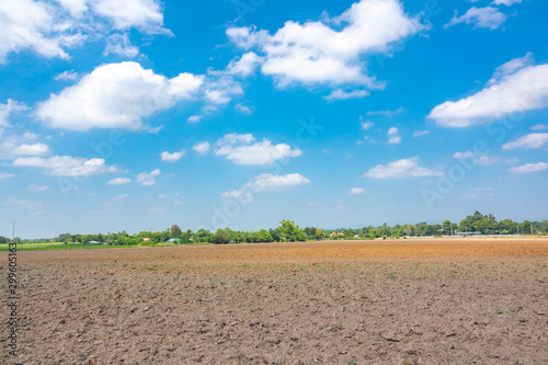 Blue sky and cloud over agriculture area for seeding plants in countryside