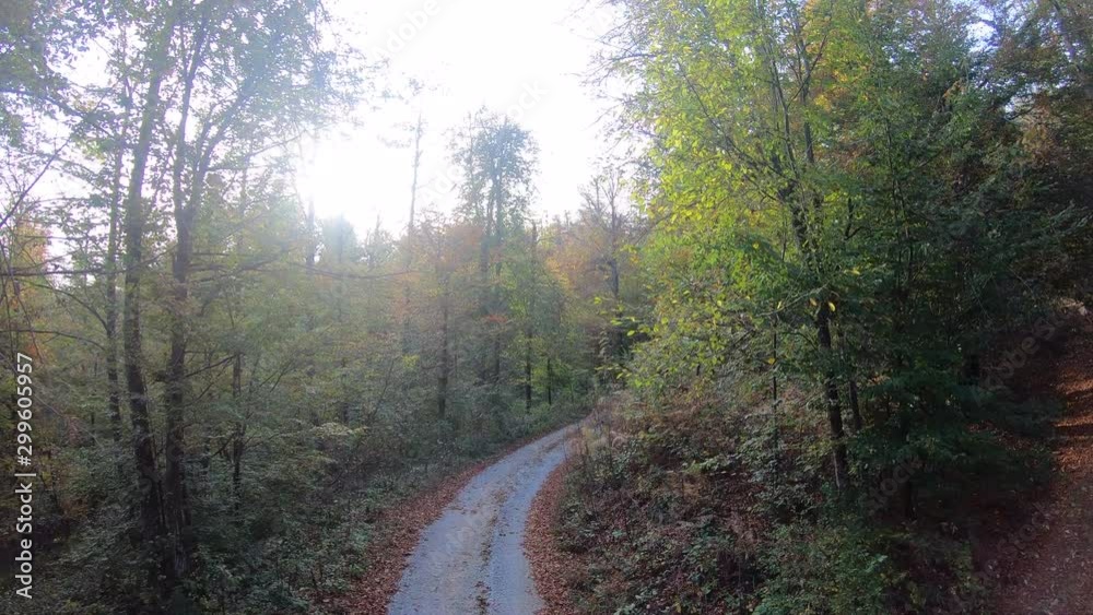 AERIAL Female mountain biker riding her bike down a forest trail on a sunny day in fall AERIAL Female mountain biker riding her bike down a forest trail on a sunny day in fall