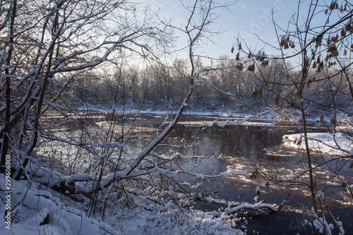 overgrown riverbank, snowy winter