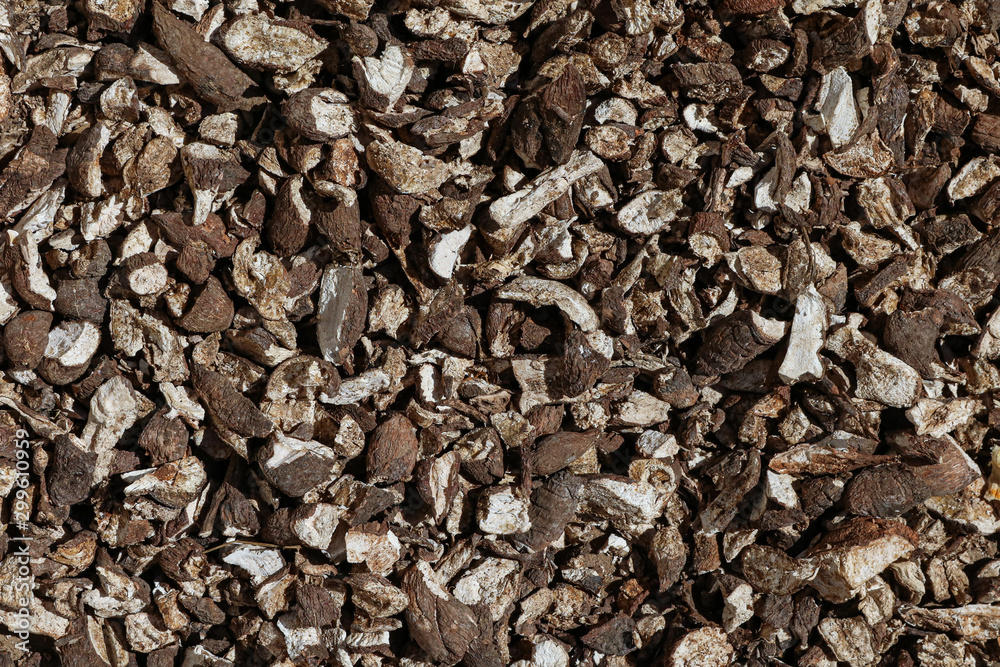 Texture of pile of raw cassavas. Background of raw maniocs. Texture of pile of raw cassavas. Background of raw maniocs.