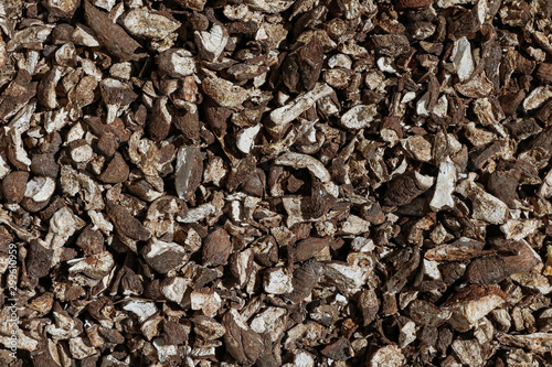 Texture of pile of raw cassavas. Background of raw maniocs.