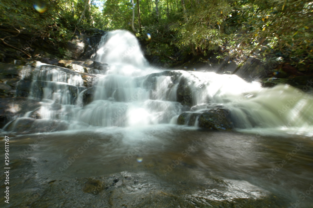Fototapeta premium waterfall in forest
