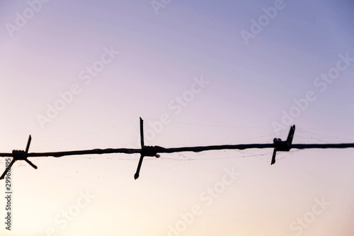 Barbed wire with dew drops on the background of the dawn blue sky.
